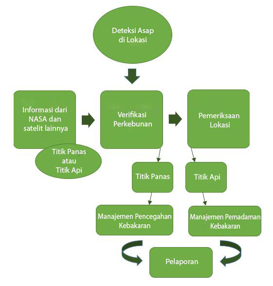05_identification_and_organisation_process_rev