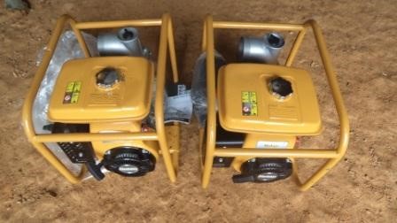 High-capacity portable water pumps