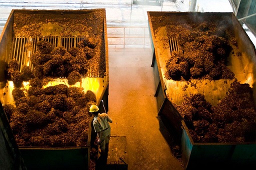 Creating a Sustainable Palm Oil Supply Chain: the Next Chapter