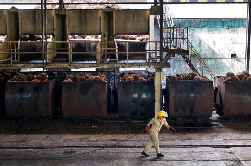 Greater collaboration across the supply chain is needed to help achieve sustainable palm oil