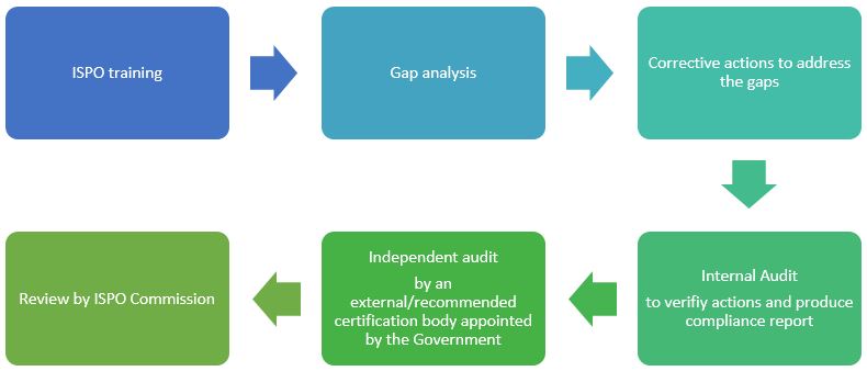 The process of obtaining ISPO certificates carried out by PT SMART