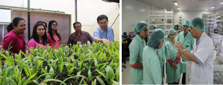Visiting students talk about SMART's biotech innovations with Tony Liwang, Head of Plant Production and Biotechnology Division
