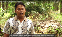 Smallholder Farmers and Innovative Financing