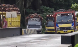 Mapping Our Supply Chain: A Palm Oil FFB Broker’s Experience