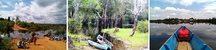 Pemandangan di Nanga Bian