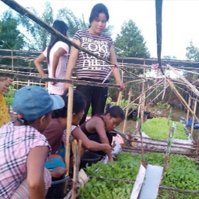 Helping local communities be more sustainable and self-sufficient while minimising fire