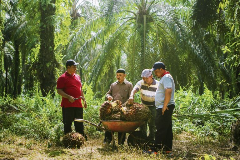Misdan saat berbicara dengan petani binaannya.