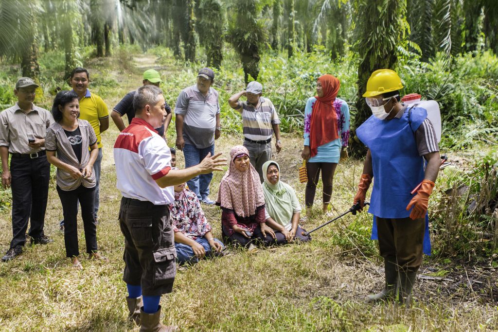 Budin menjelaskan kepada petani cara yang tepat untuk mengaplikasikan pupuk