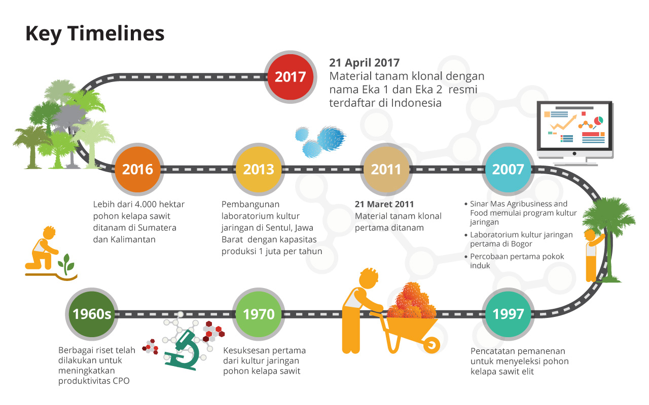 Timeline-Infographic-ID