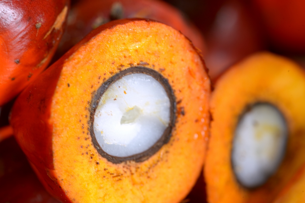 Weighing the health benefits of palm oil in our food
