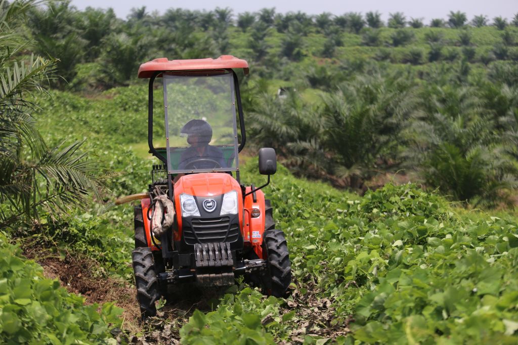 Pentingnya Penelitian & Pengembangan dalam Pertanian