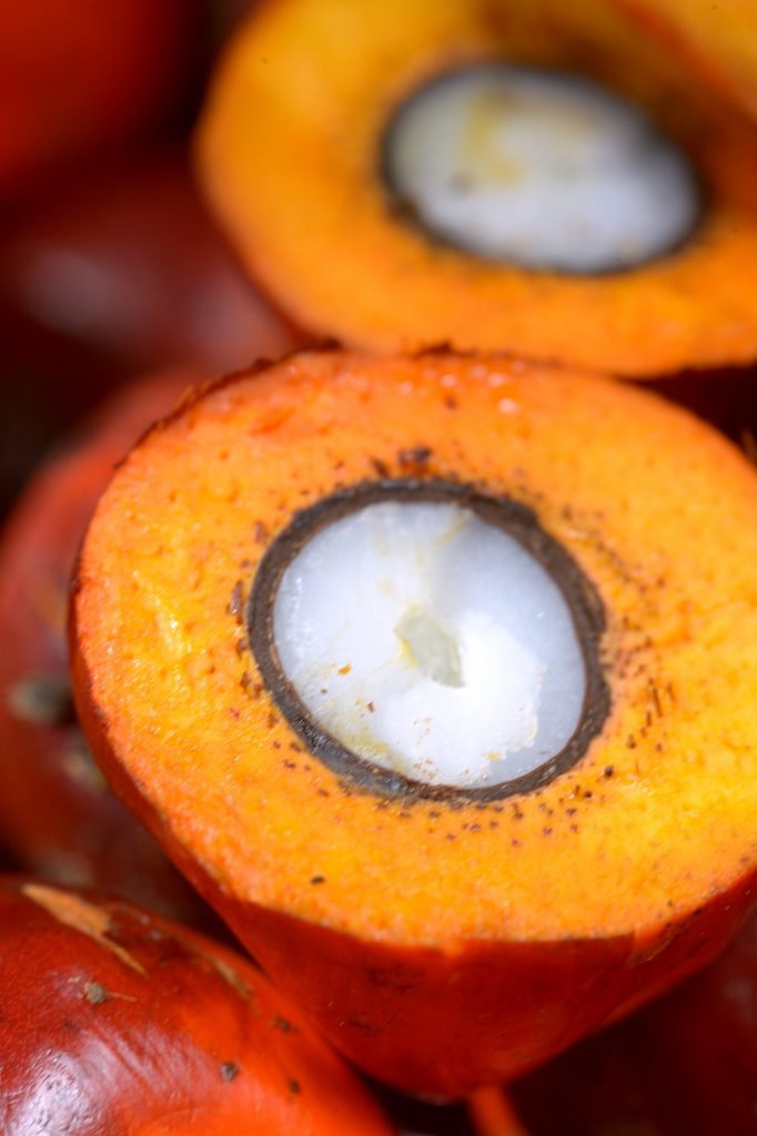 palm-oil