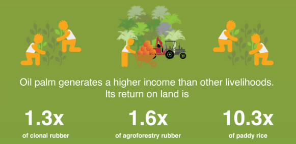Oil-palm-generates-a-higher-income