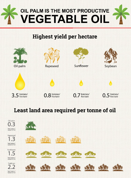 Oil-palm-is-the-most-productive