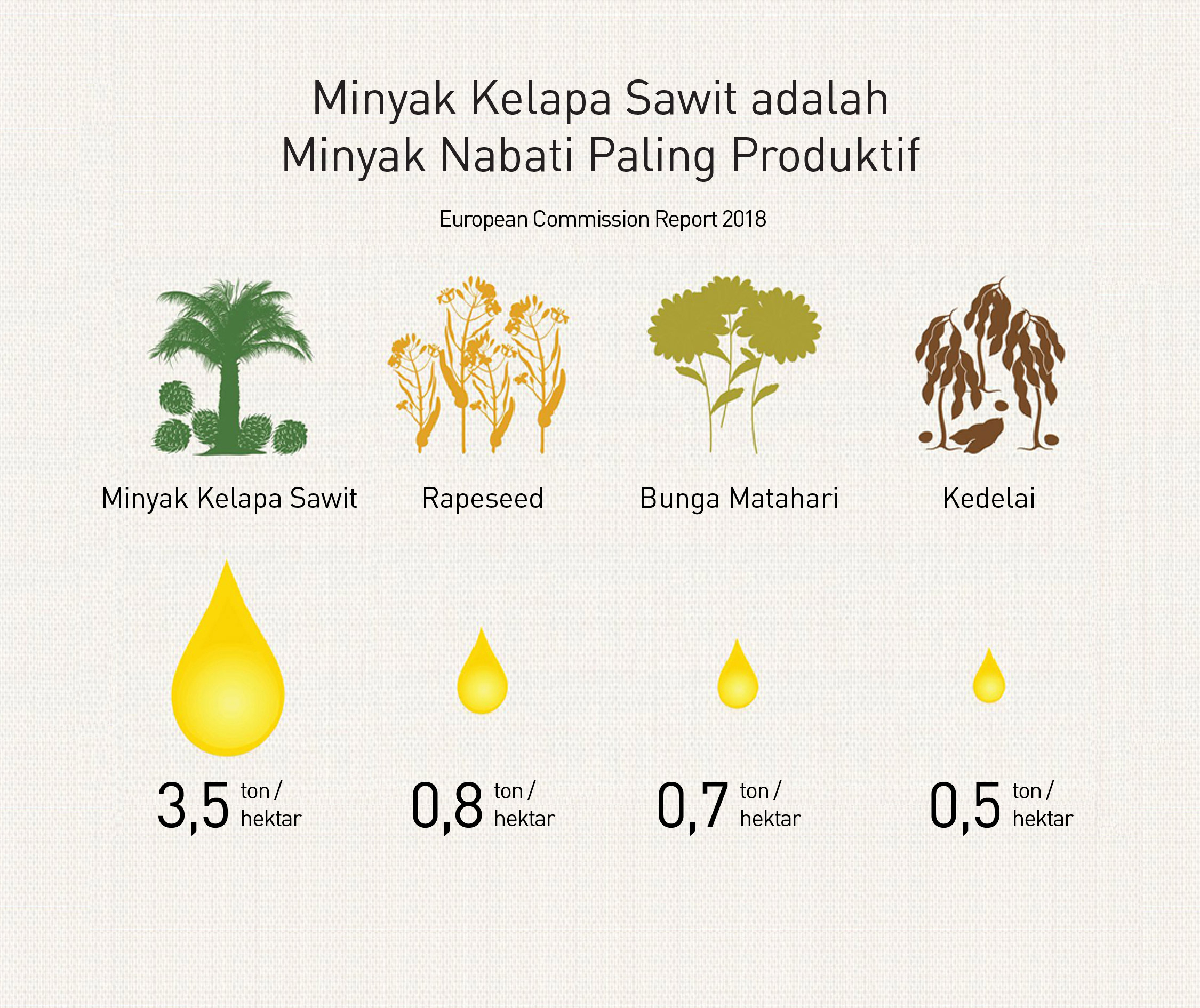 Palm oil’s role in feeding the world