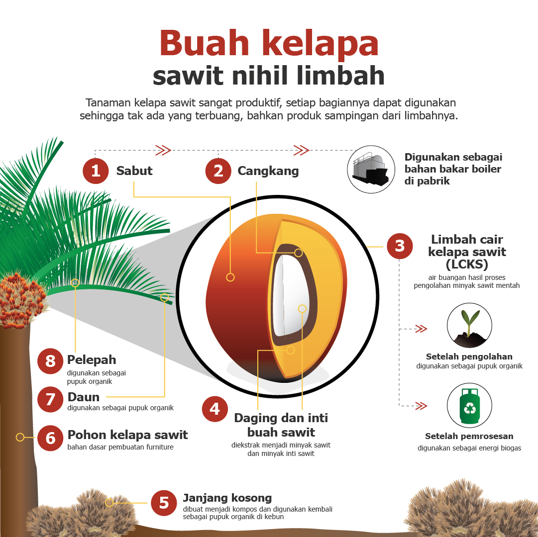 Zero waste of the palm oil fruit