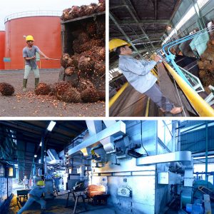 Production of biodiesel sourced from palm oil in one of our company mills