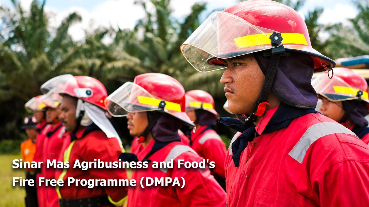 Fire Free Programme (DMPA)