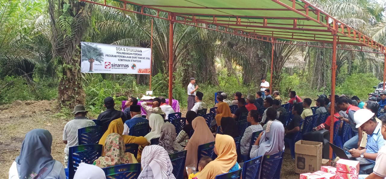Berkat Ridho H.Misdan