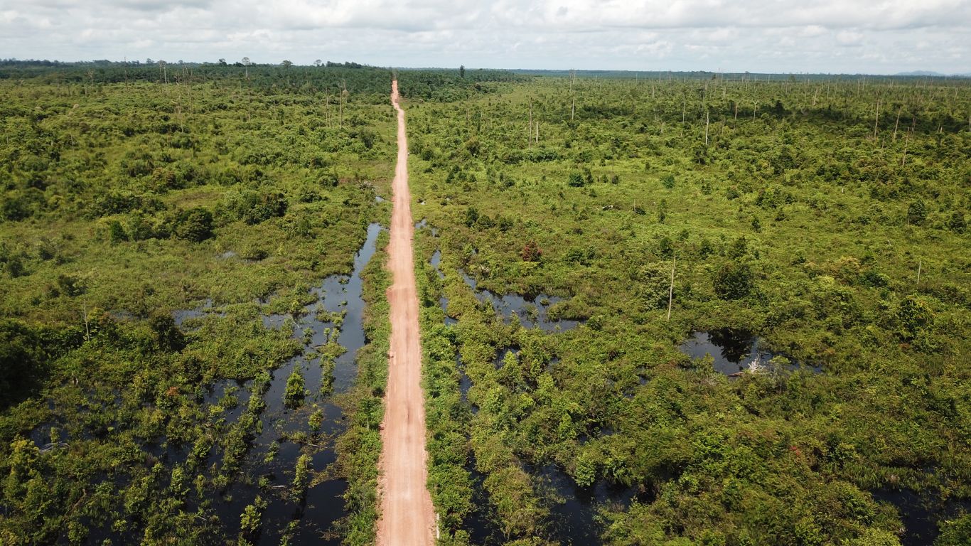 The delicate science behind managing peatlands