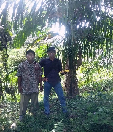 Foto-6-Pengukuran-Lahan-petani-peserta-PSR