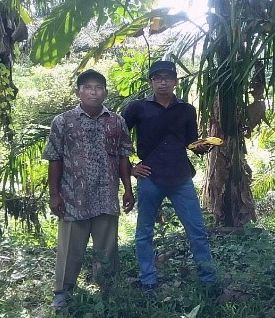 Replanting a more productive future