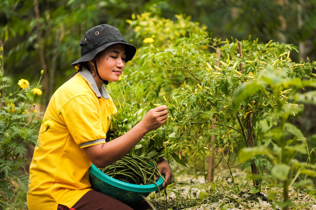 Alternative-Livelihood