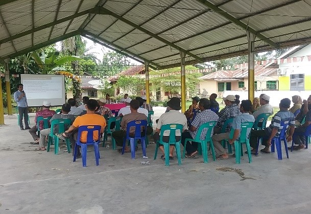 How it works: Oil palm trees replanting programme