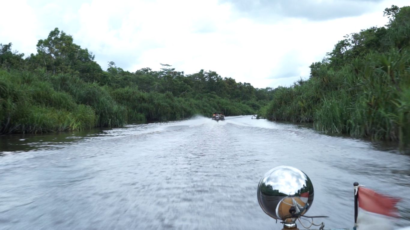 Speedboat menyusuri taman nasional beriklim tropis yang dikenal sebagai area konservasi orangutan