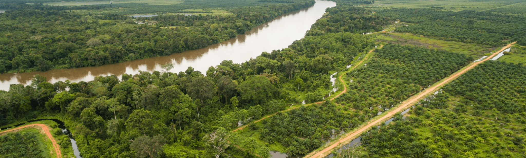Conservation Management & Monitoring