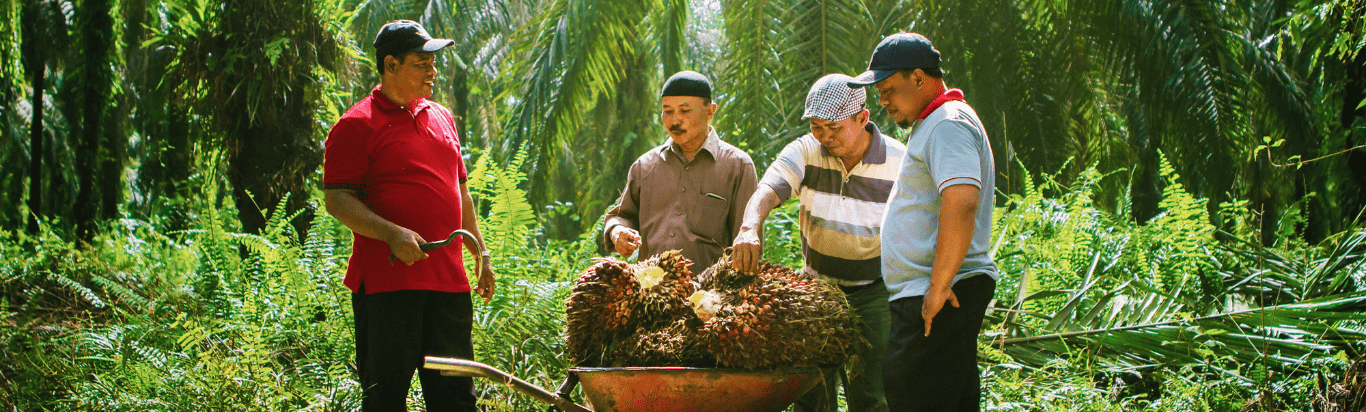 Kemitraan dan Keanggotaan
