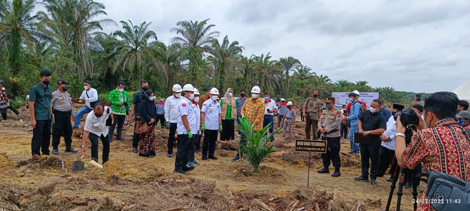 kegiatan tanam perdana Peremajaan Sawit Rakyat di Kebun Sinar Mas Agribusiness and Food