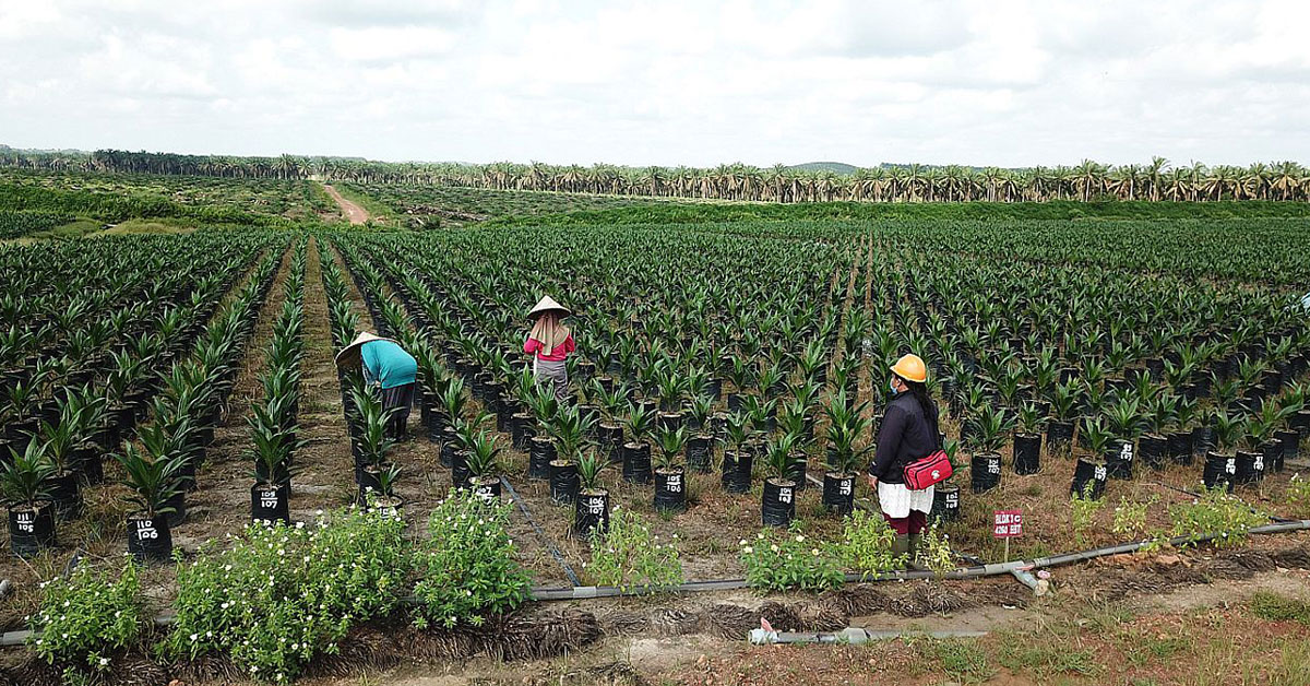 Wawancara: Kolaborasi dengan Indonesia Business Coalition for Women Empowerment (IBCWE)