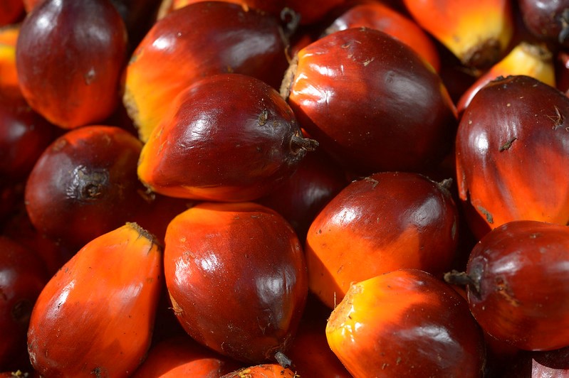palm-oil