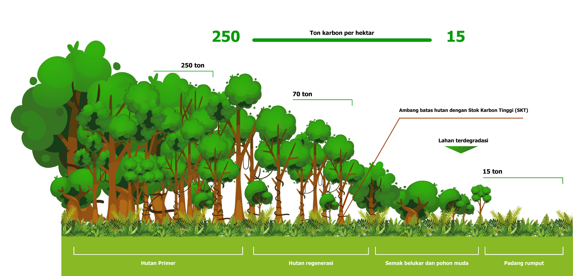 conservation