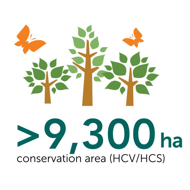 conservation