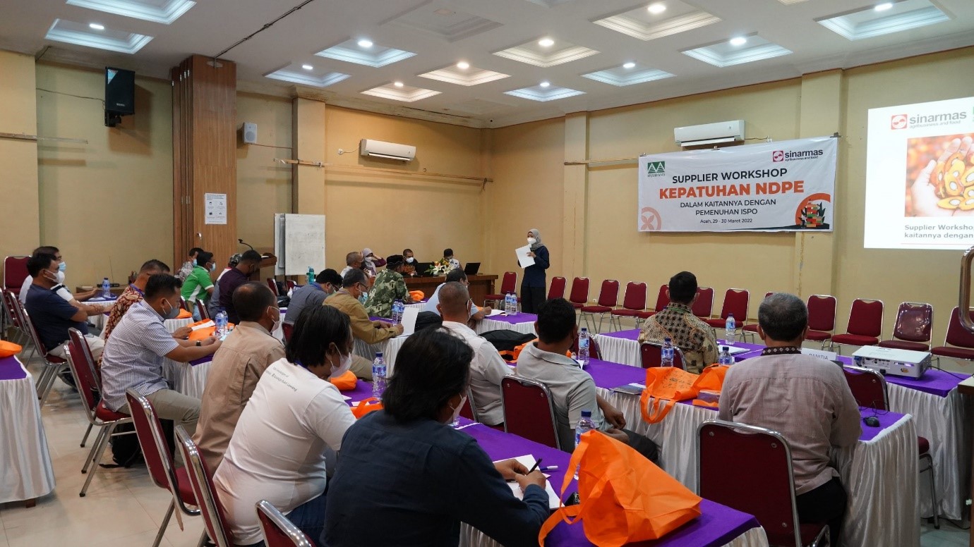 Building a traceable, deforestation-free supply chain in Aceh