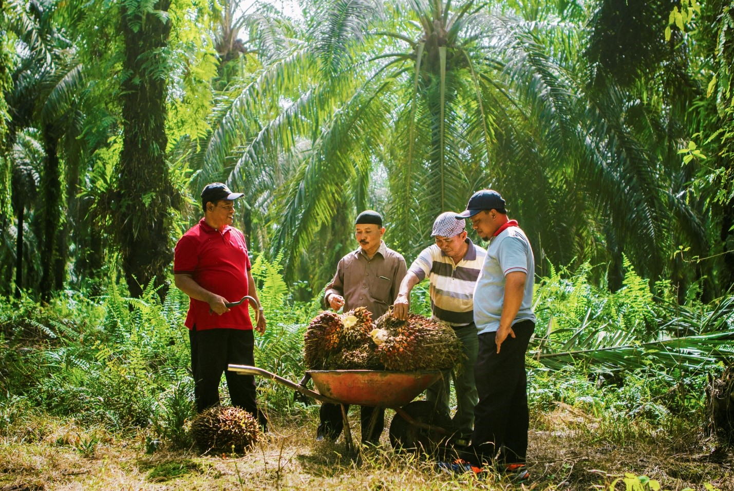 Working closely with our smallholders
