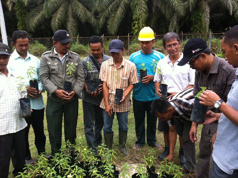 Para petani kelapa sawit
