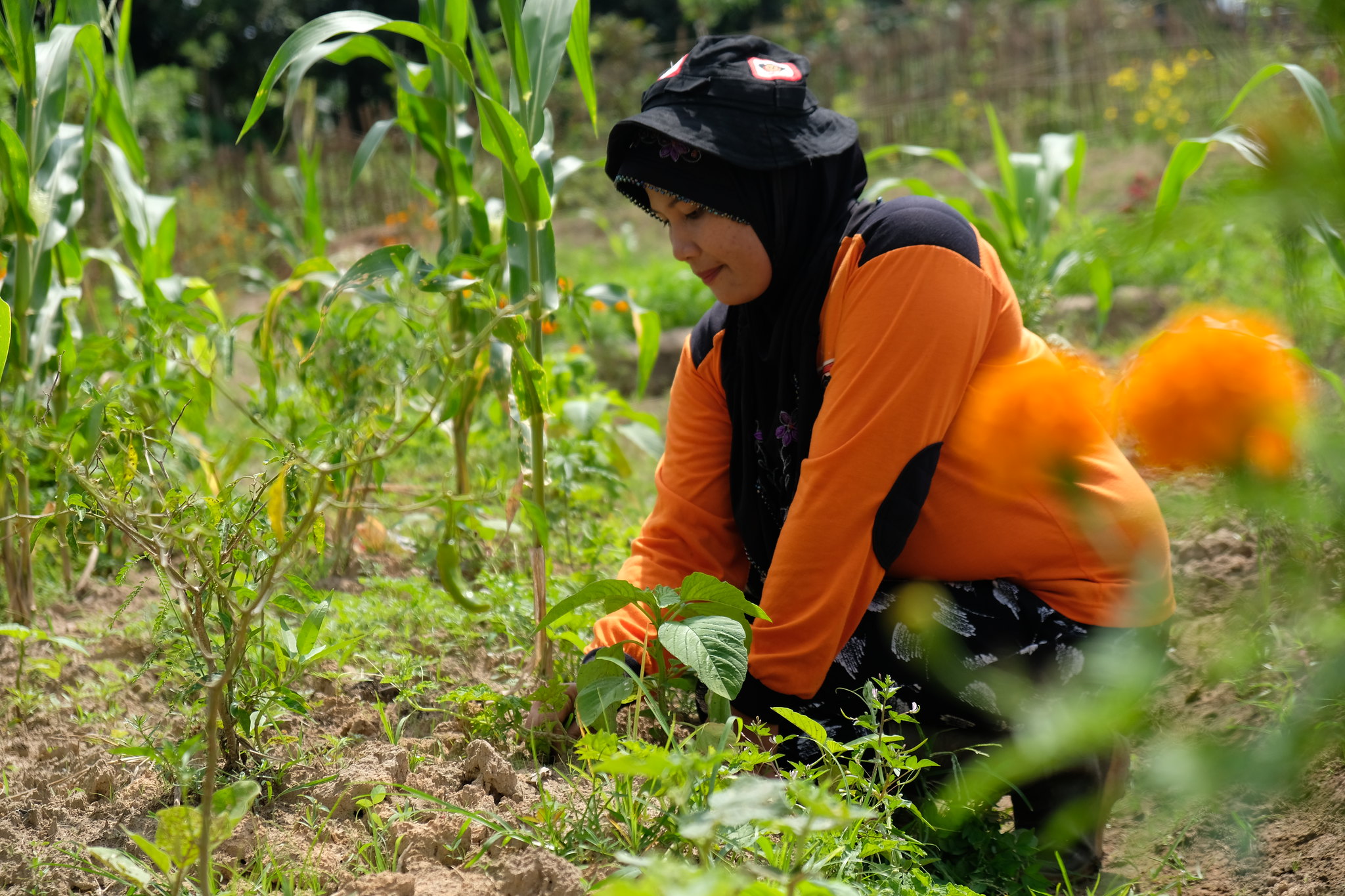 ADM Bergabung dengan Sinar Mas Agribusiness and Food dan Tzu Chi Indonesia untuk Mempercepat Kemajuan Ekonomi Pedesaan