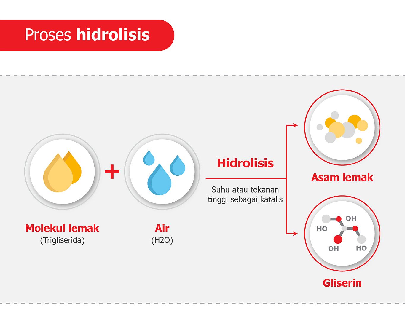Proses hidrolisis