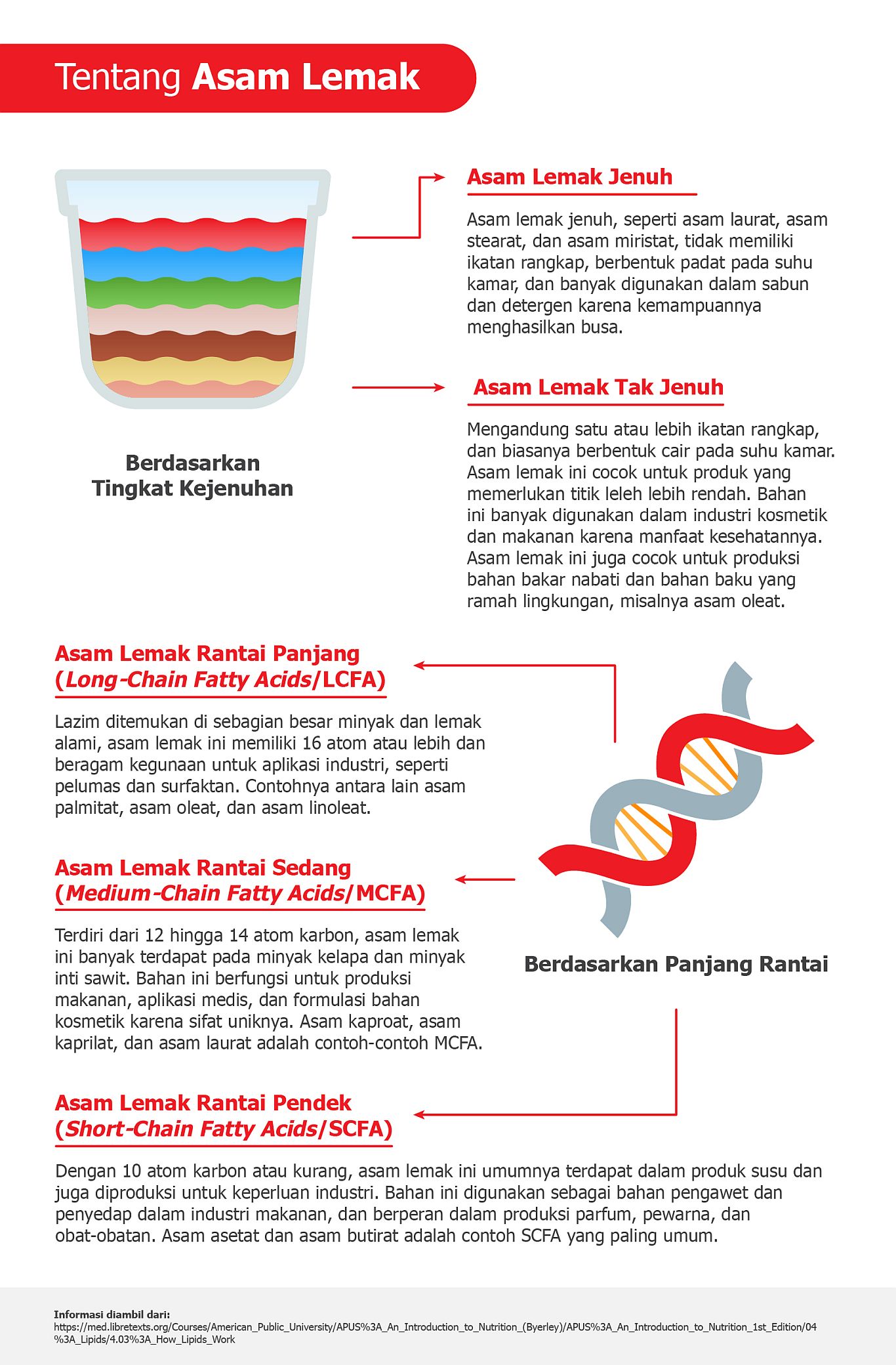 Tentang Asam Lemak