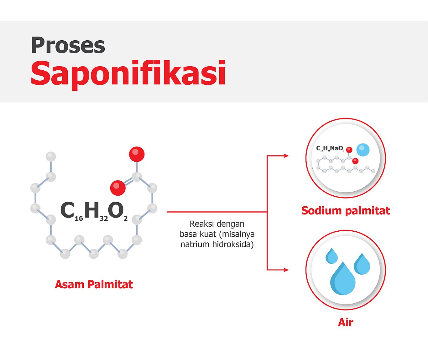 Proses saponifikasi
