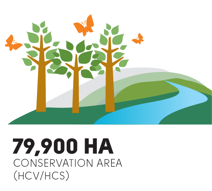 hectares of conservation area
