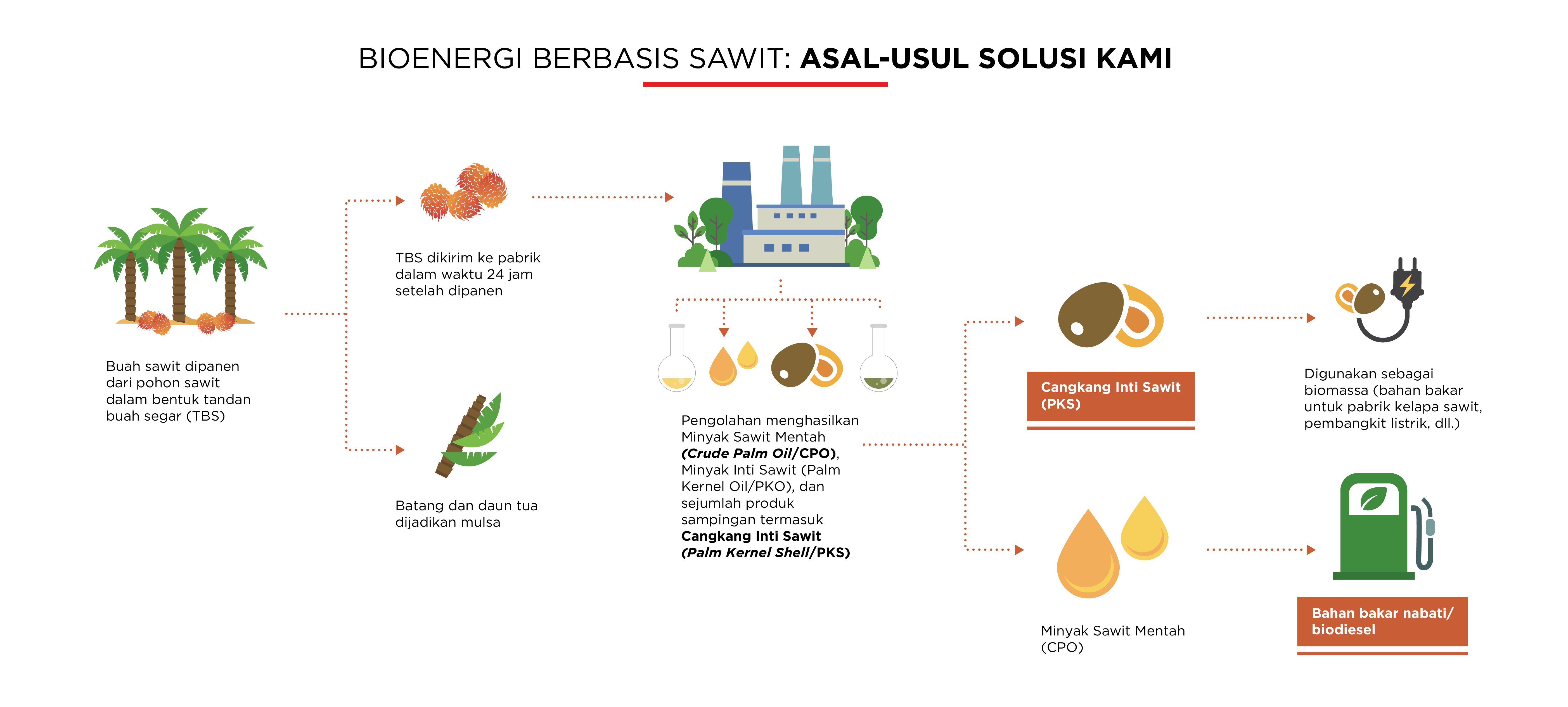 bioenergi