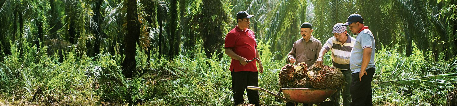 Realising Indonesia Smallholders Empowerment