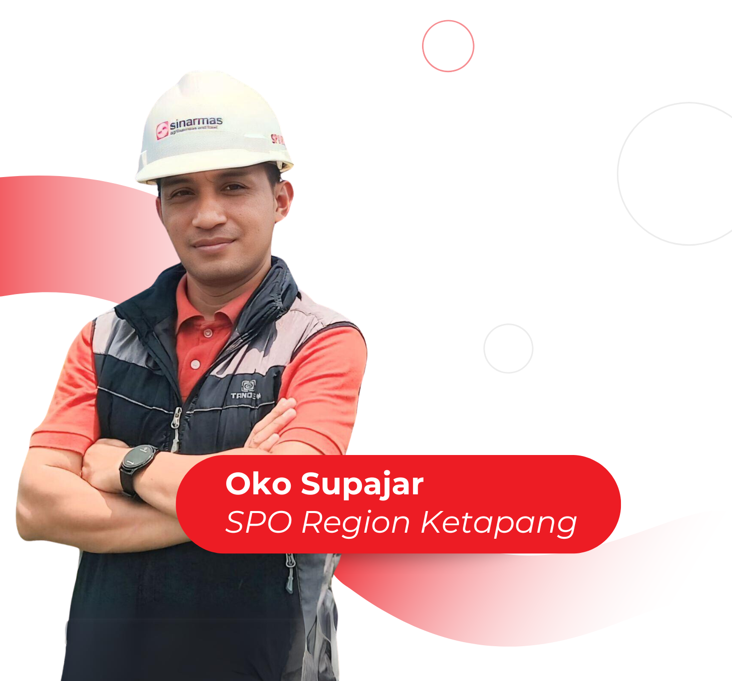Oko Supajar