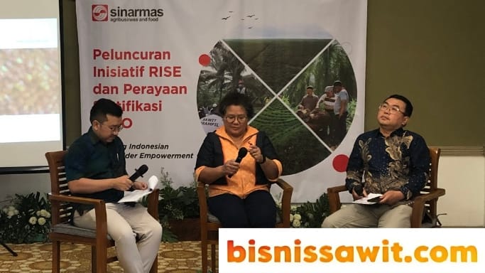 Program Sawit Terampil Mewadahi Petani Sawit dalam Proses Produksi hingga Sertifikasi