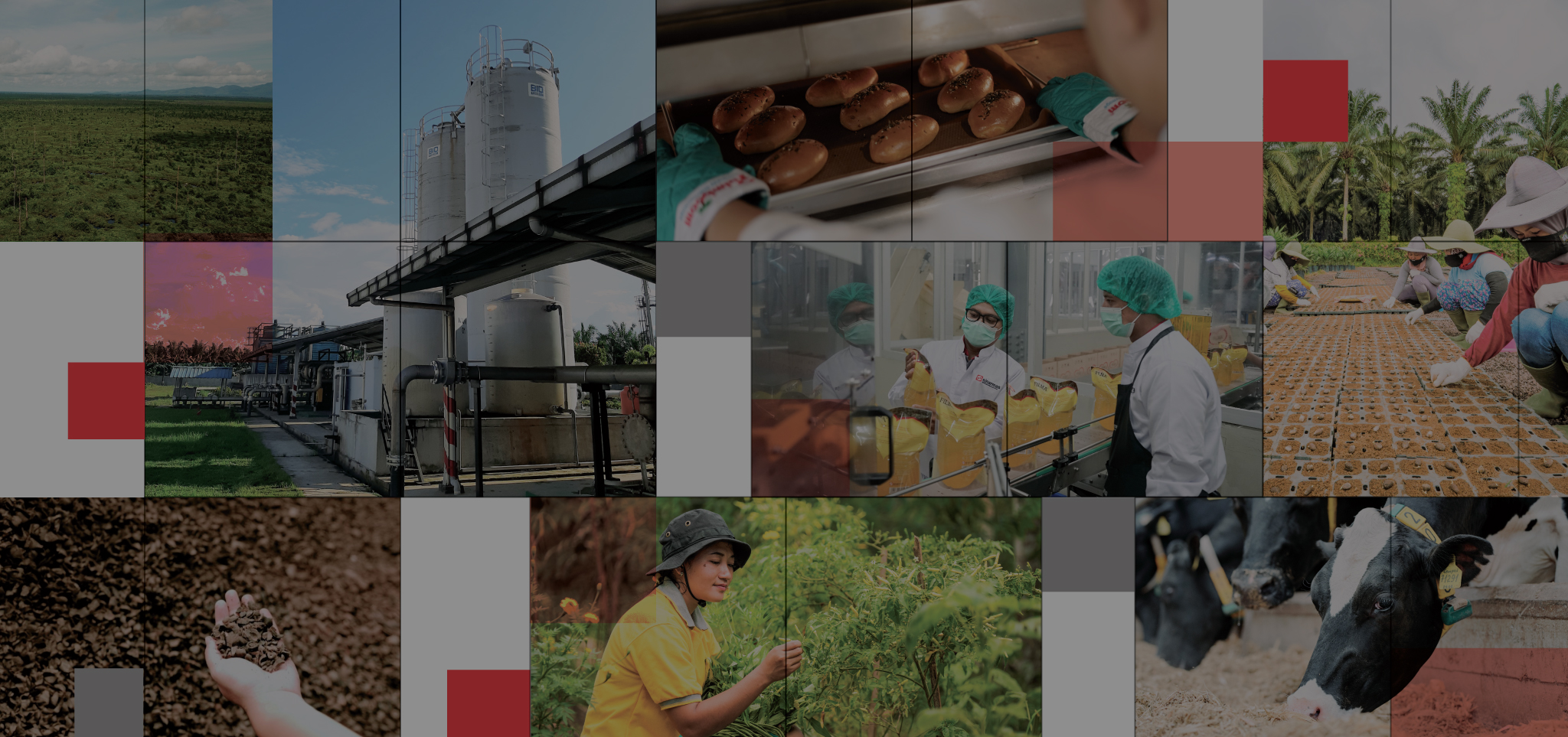 What’s around the corner for agriculture, food, and energy in 2025?