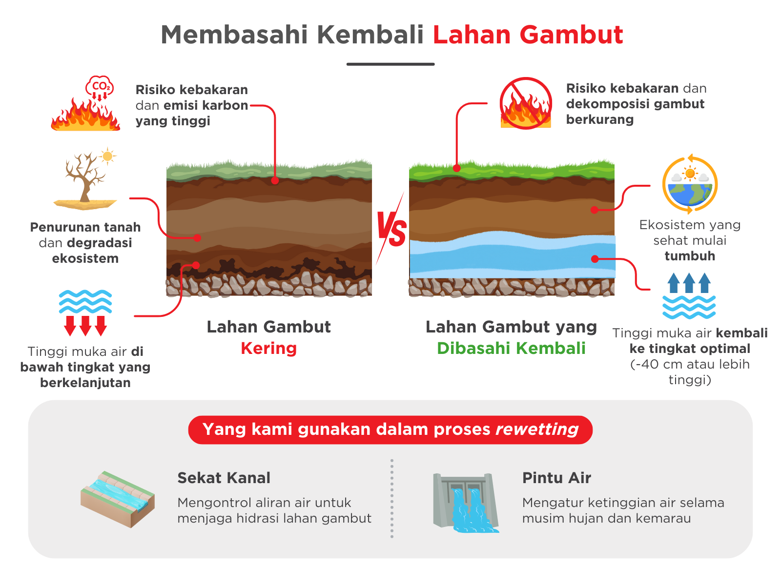 Membasahi kembali lahan gambut